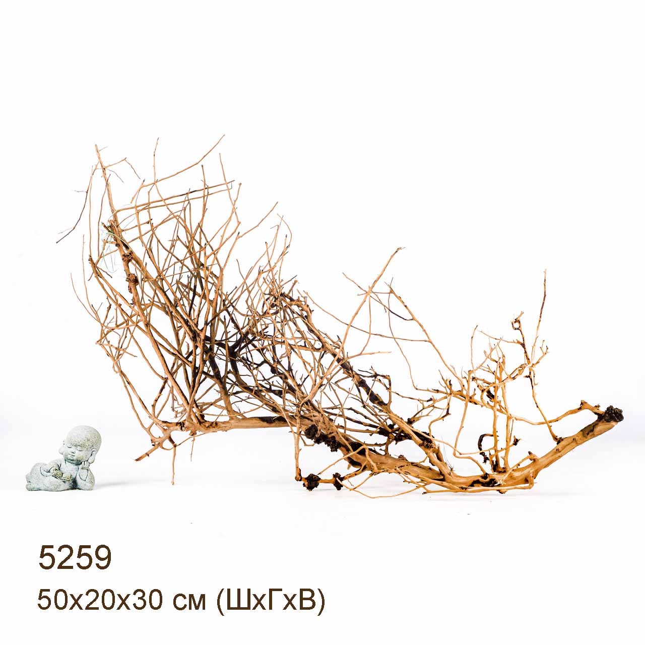 Коряга MASHA BLOOM Пустынная 5259