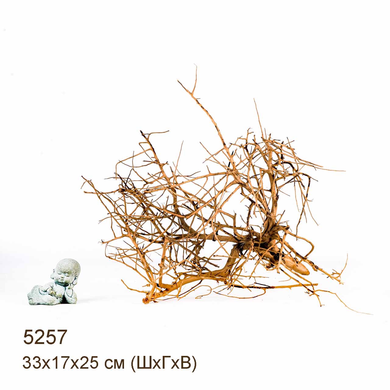 Коряга MASHA BLOOM Пустынная 5257