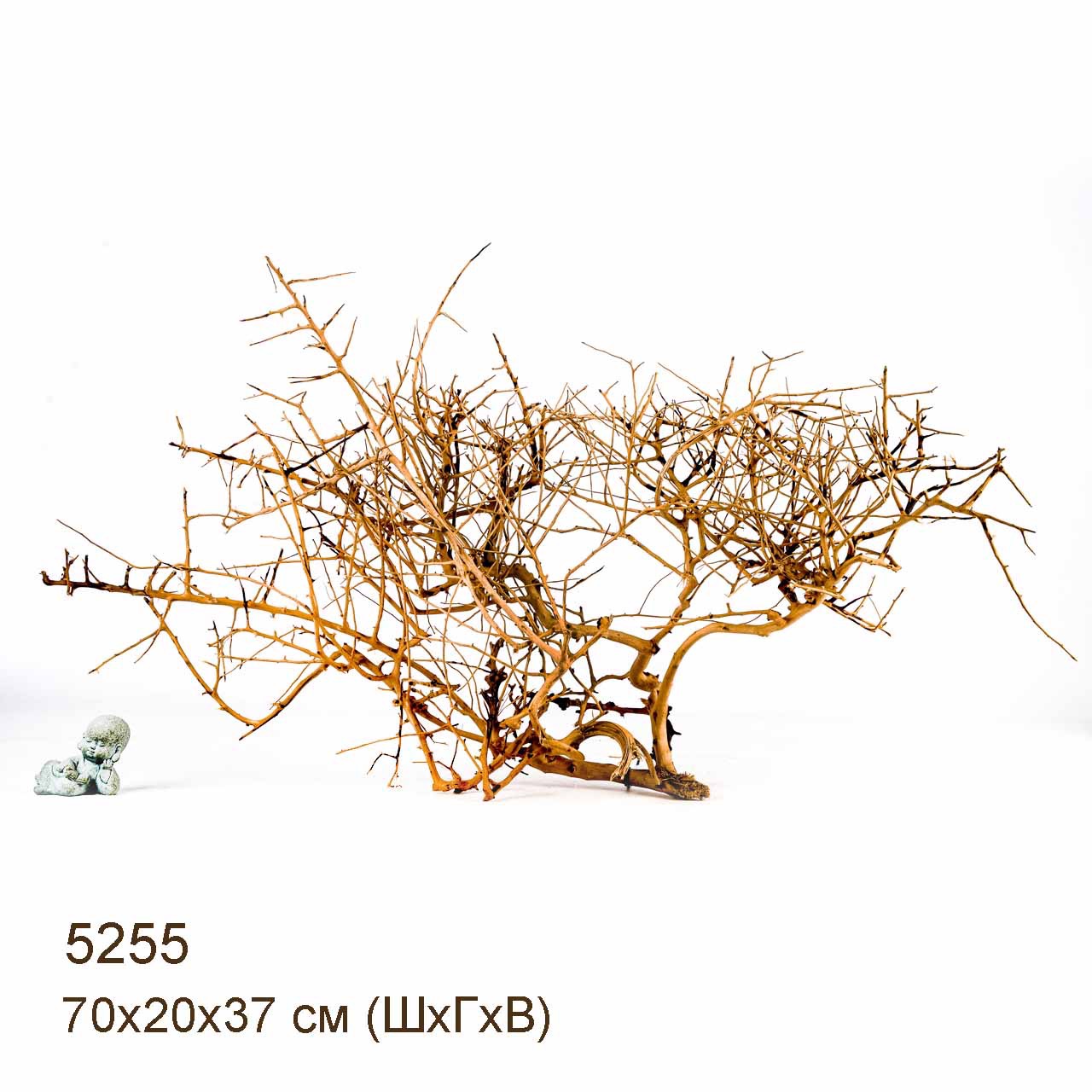 Коряга MASHA BLOOM Пустынная 5255