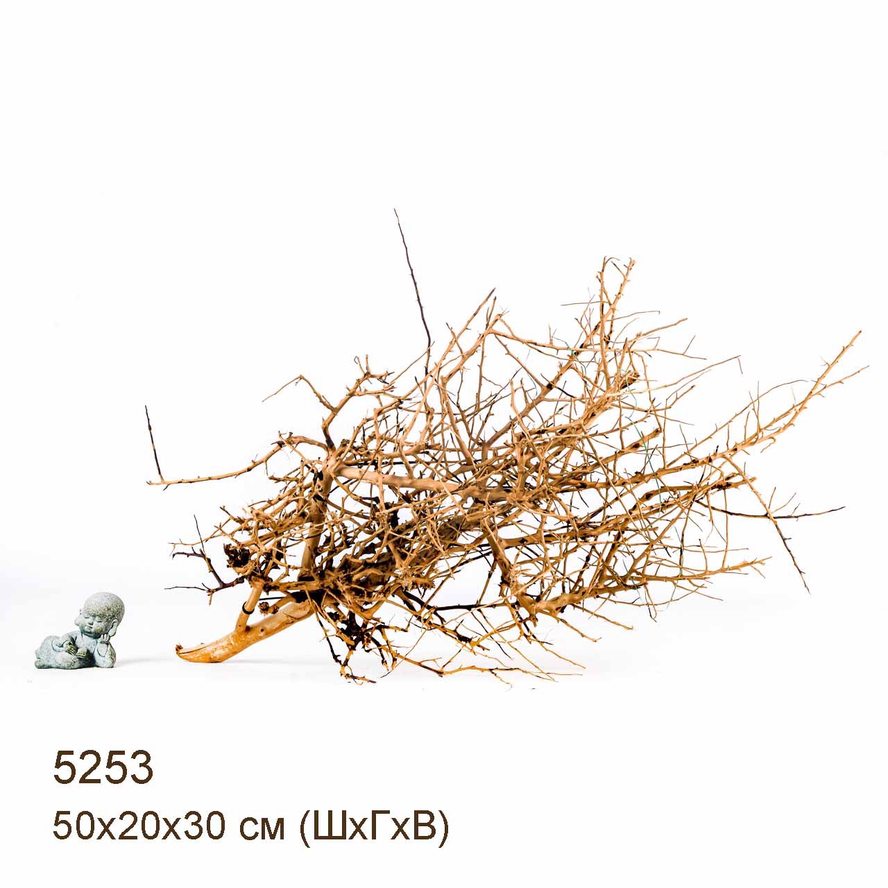 Коряга MASHA BLOOM Пустынная 5253