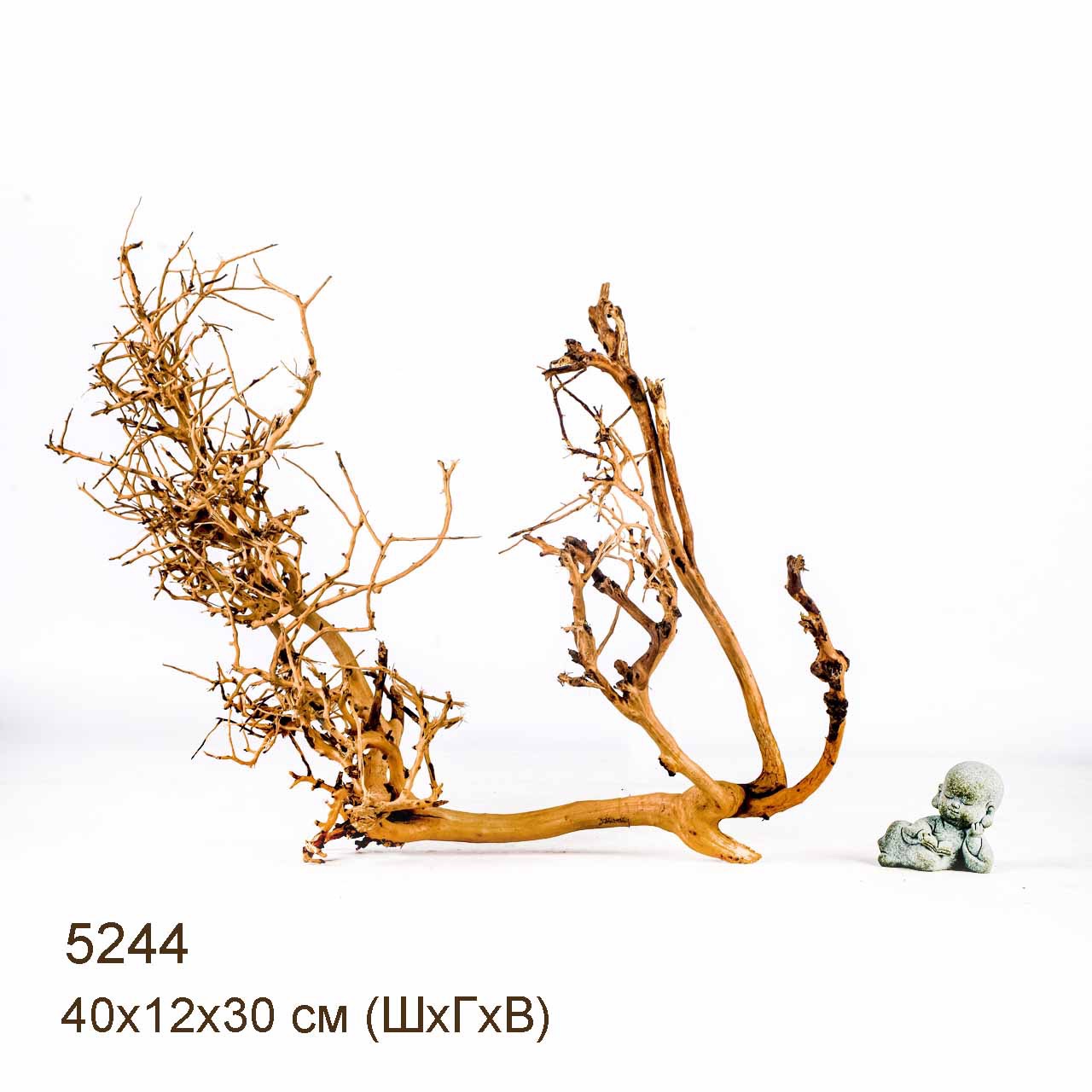 Коряга MASHA BLOOM Пустынная 5244