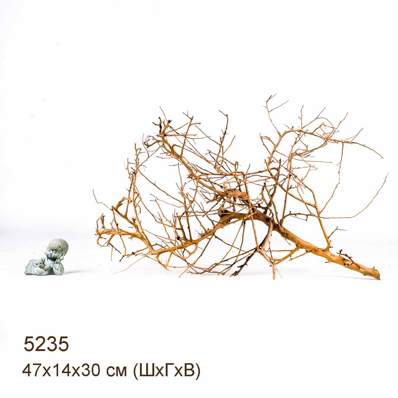 Коряга MASHA BLOOM Пустынная 5235