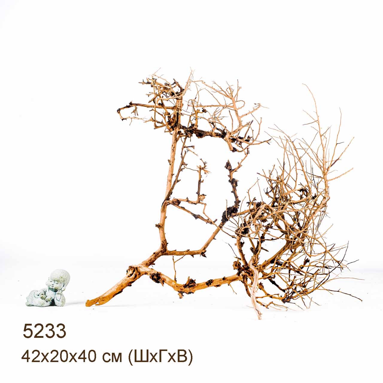 Коряга MASHA BLOOM Пустынная 5233