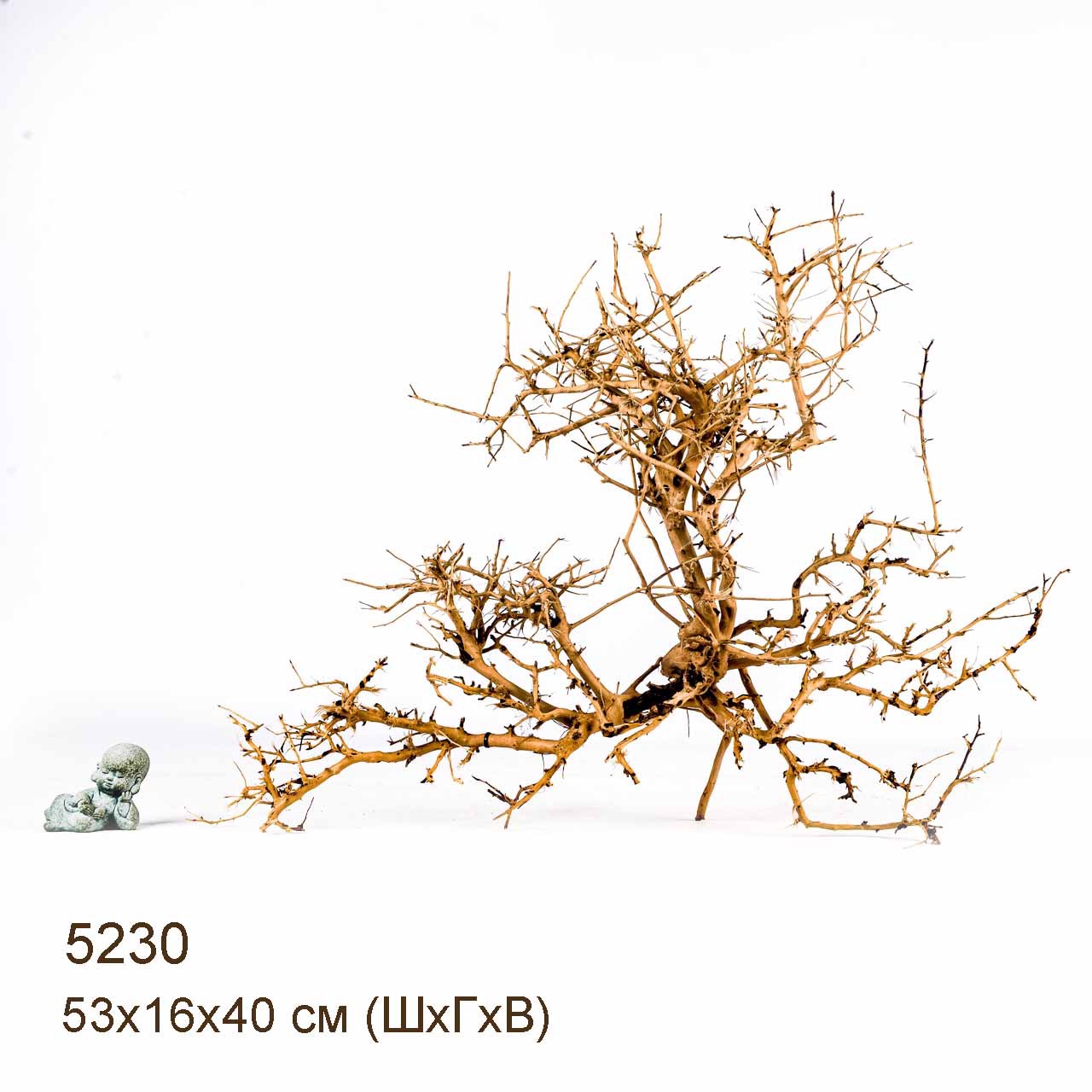 Коряга MASHA BLOOM Пустынная 5230