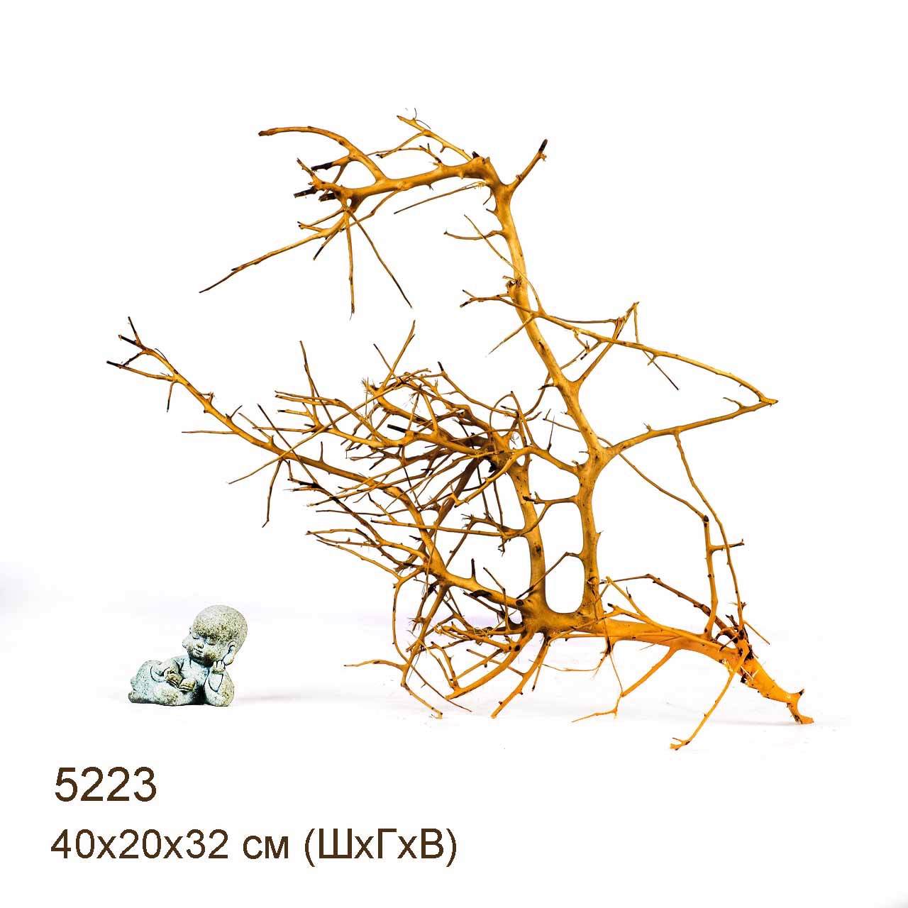 Коряга MASHA BLOOM Пустынная 5223