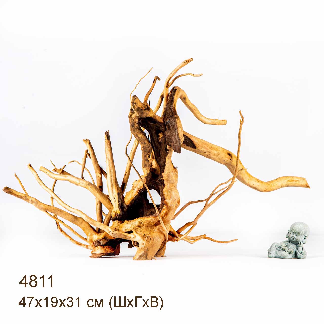 Коряга MASHA BLOOM Корень азалии M - 4811