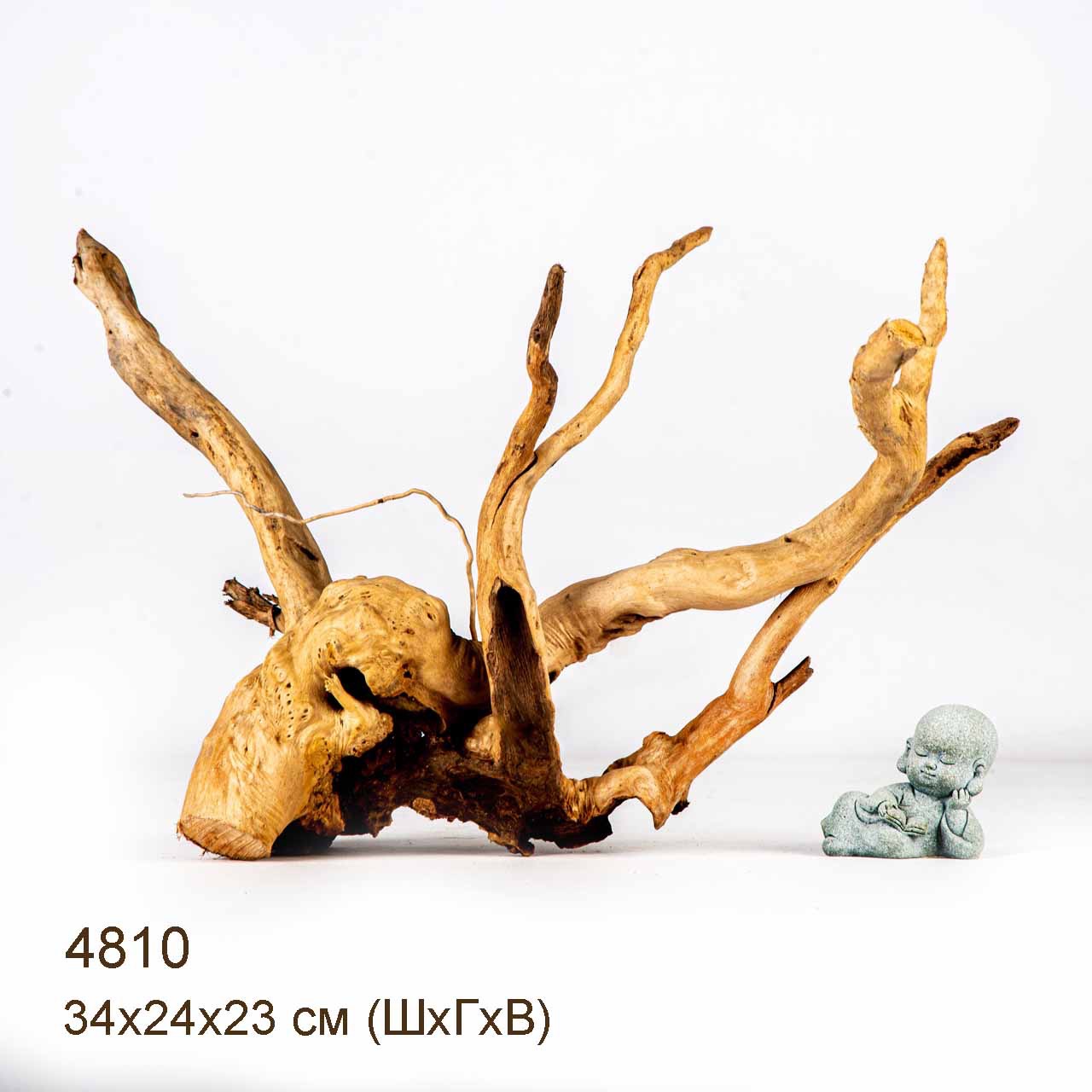 Коряга MASHA BLOOM Корень азалии M - 4810