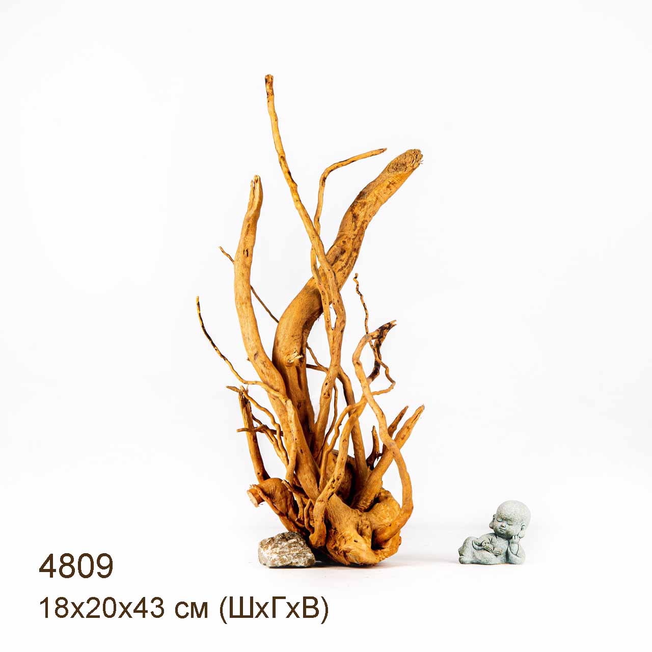 Коряга MASHA BLOOM Корень азалии M - 4809