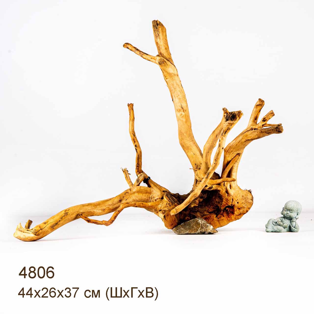 Коряга MASHA BLOOM Корень азалии M - 4806