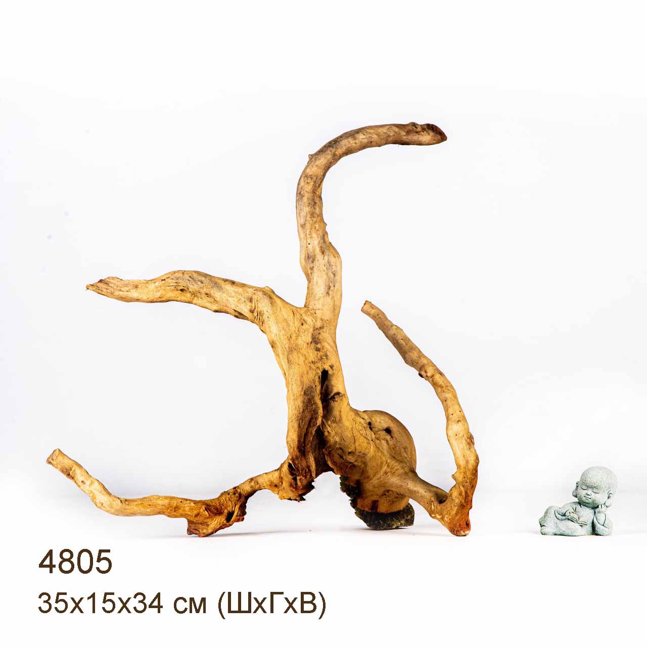 Коряга MASHA BLOOM Корень азалии M - 4805