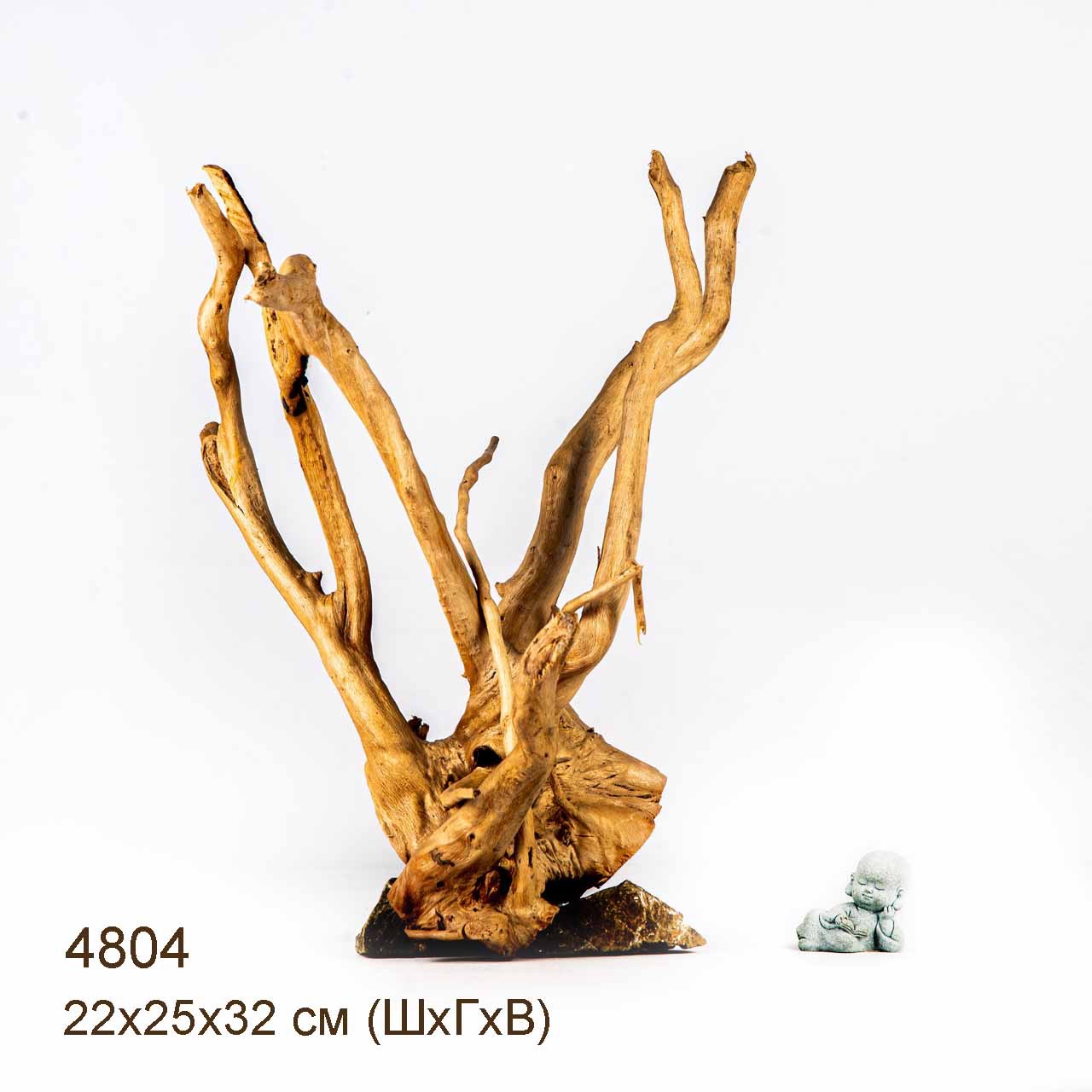 Коряга MASHA BLOOM Корень азалии M - 4804