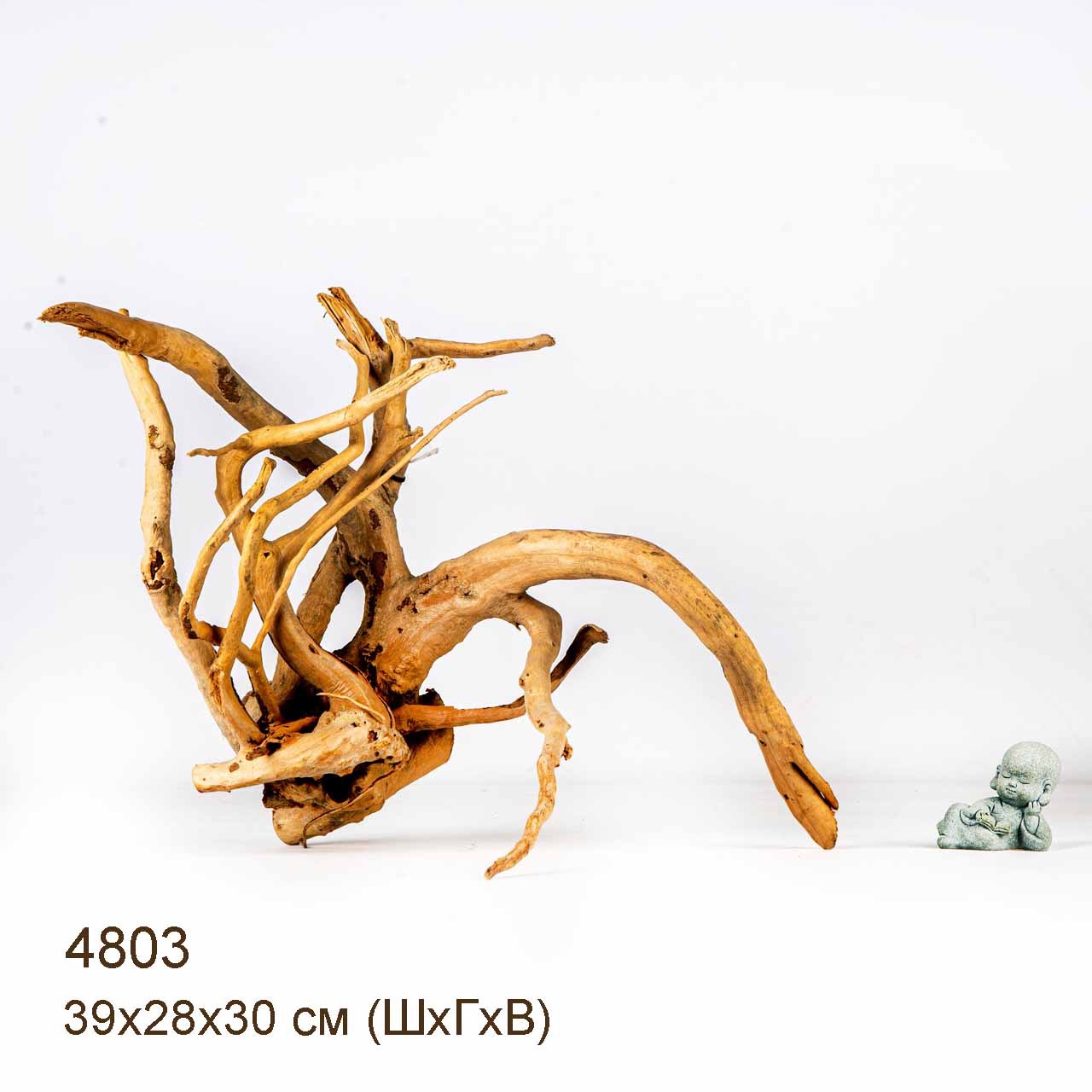 Коряга MASHA BLOOM Корень азалии M - 4803