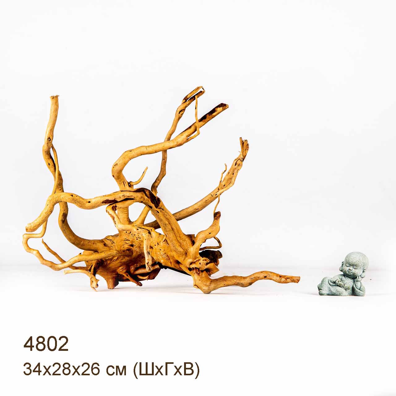 Коряга MASHA BLOOM Корень азалии M - 4802