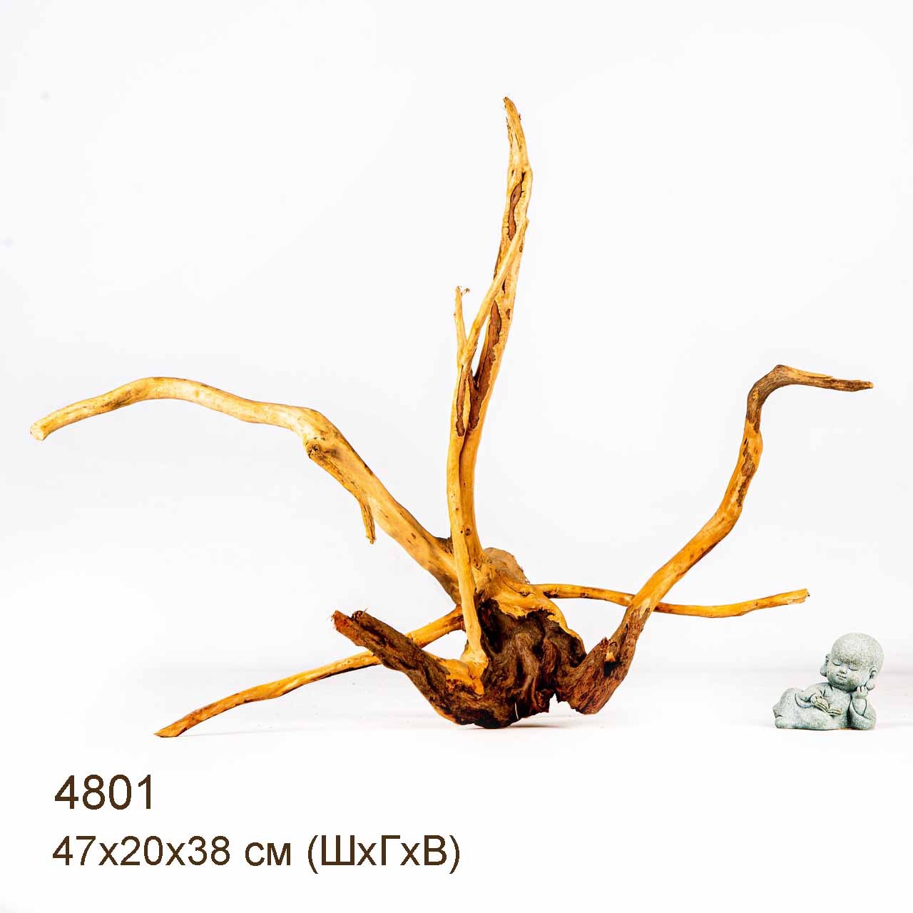 Коряга MASHA BLOOM Корень азалии M - 4801