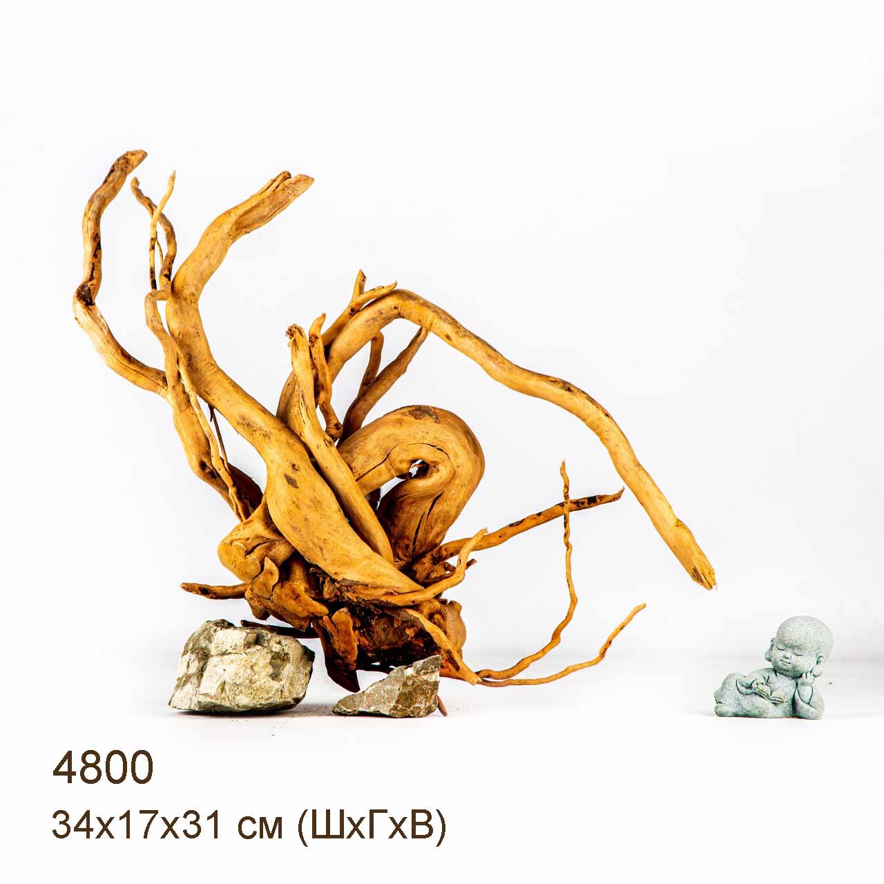 Коряга MASHA BLOOM Корень азалии M - 4800