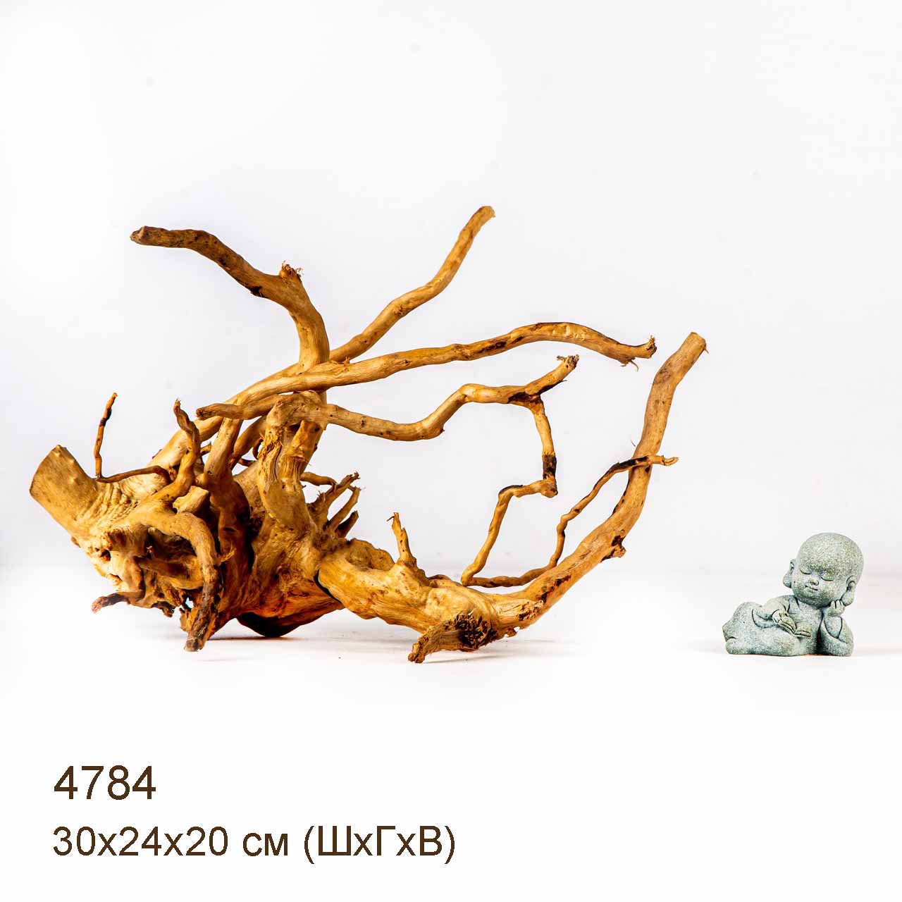 Коряга MASHA BLOOM Корень азалии M - 4784