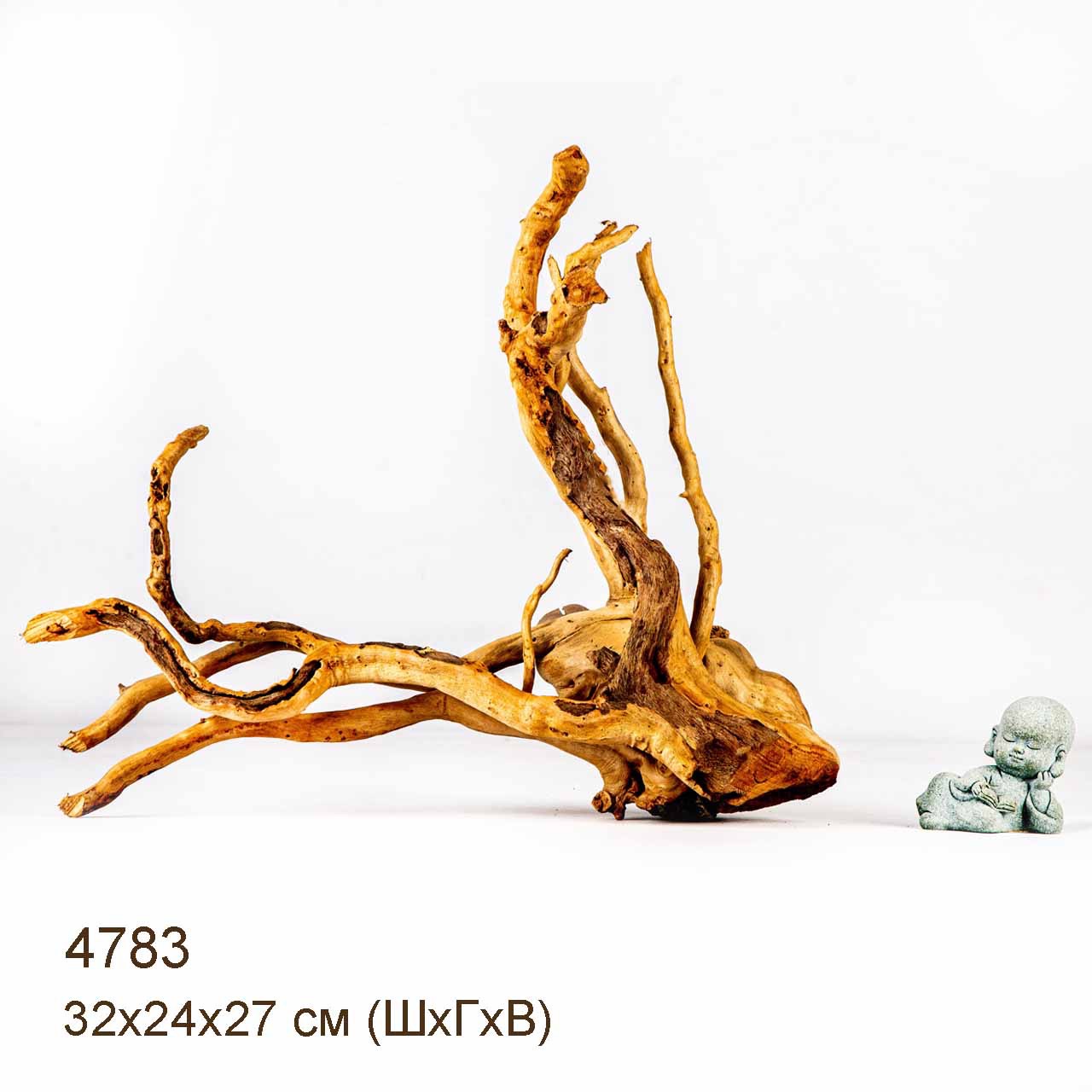 Коряга MASHA BLOOM Корень азалии M - 4783