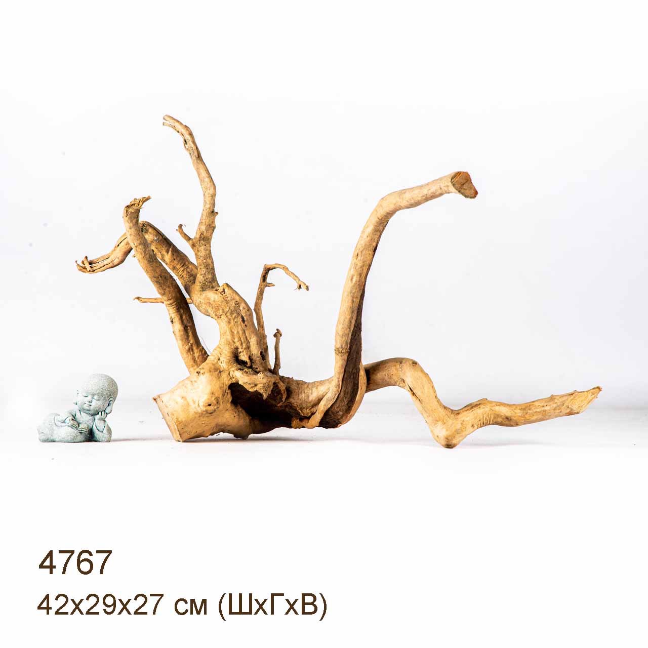 Коряга MASHA BLOOM Корень азалии M - 4767