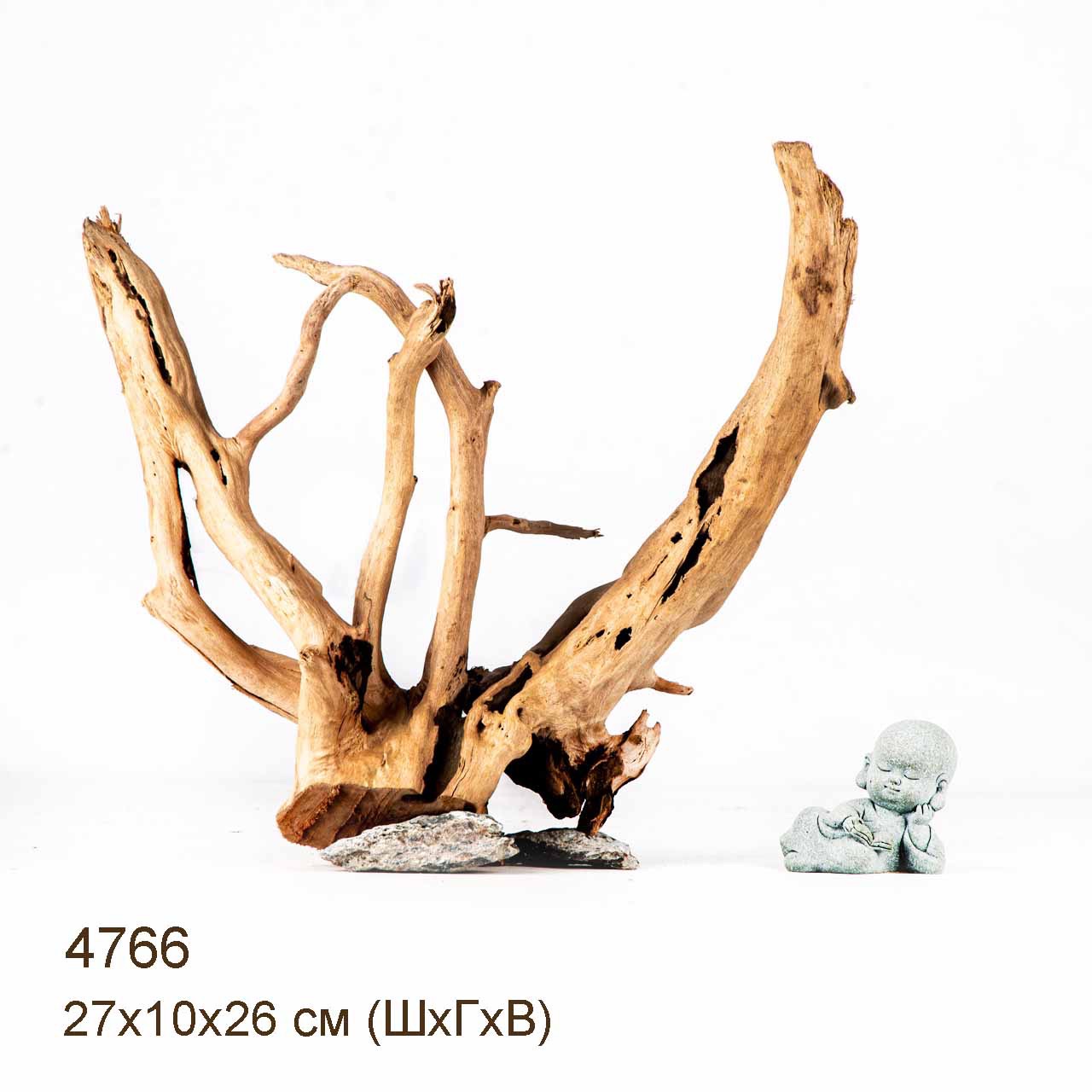 Коряга MASHA BLOOM Корень азалии M - 4766