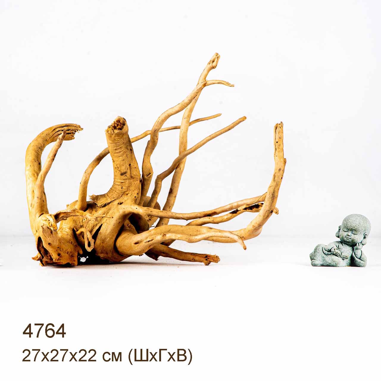 Коряга MASHA BLOOM Корень азалии M - 4764