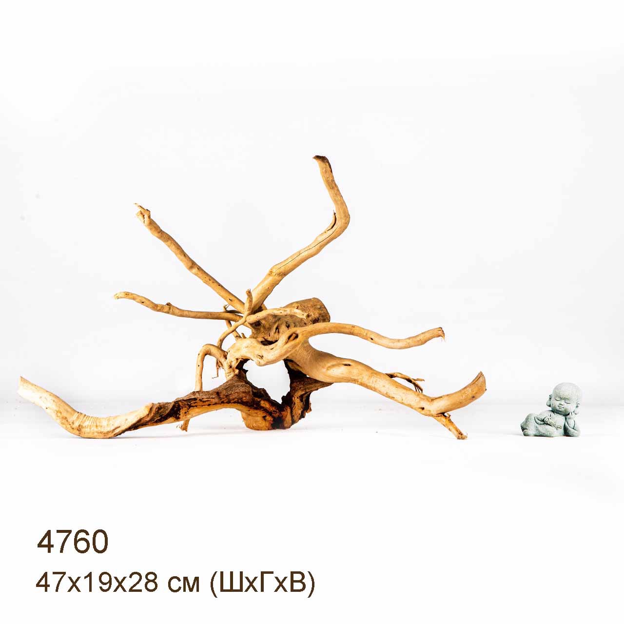 Коряга MASHA BLOOM Корень азалии M - 4760