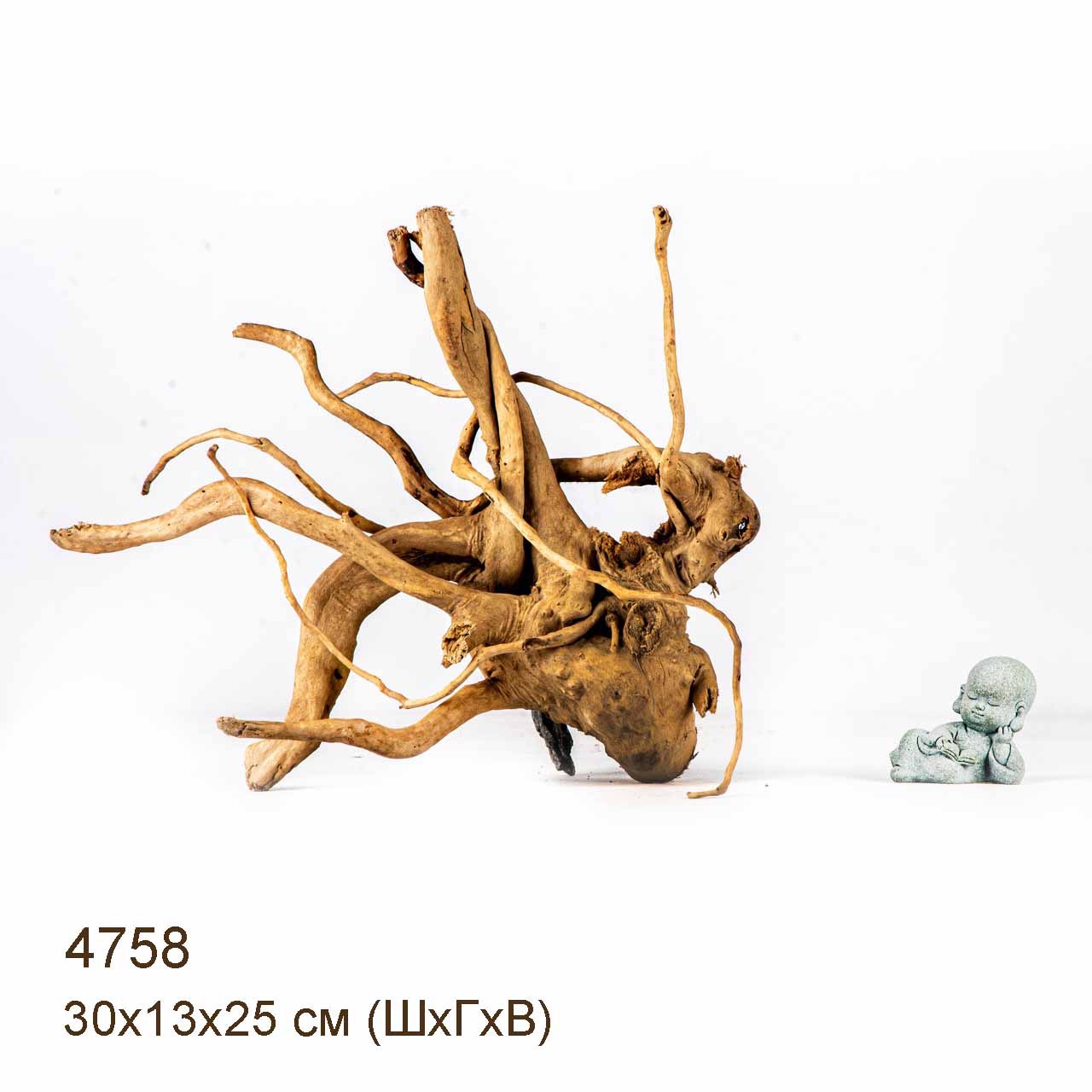 Коряга MASHA BLOOM Корень азалии M - 4758