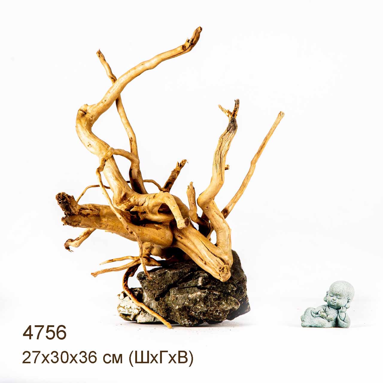 Коряга MASHA BLOOM Корень азалии M - 4756