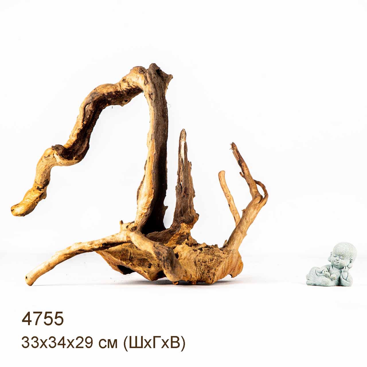 Коряга MASHA BLOOM Корень азалии M - 4755