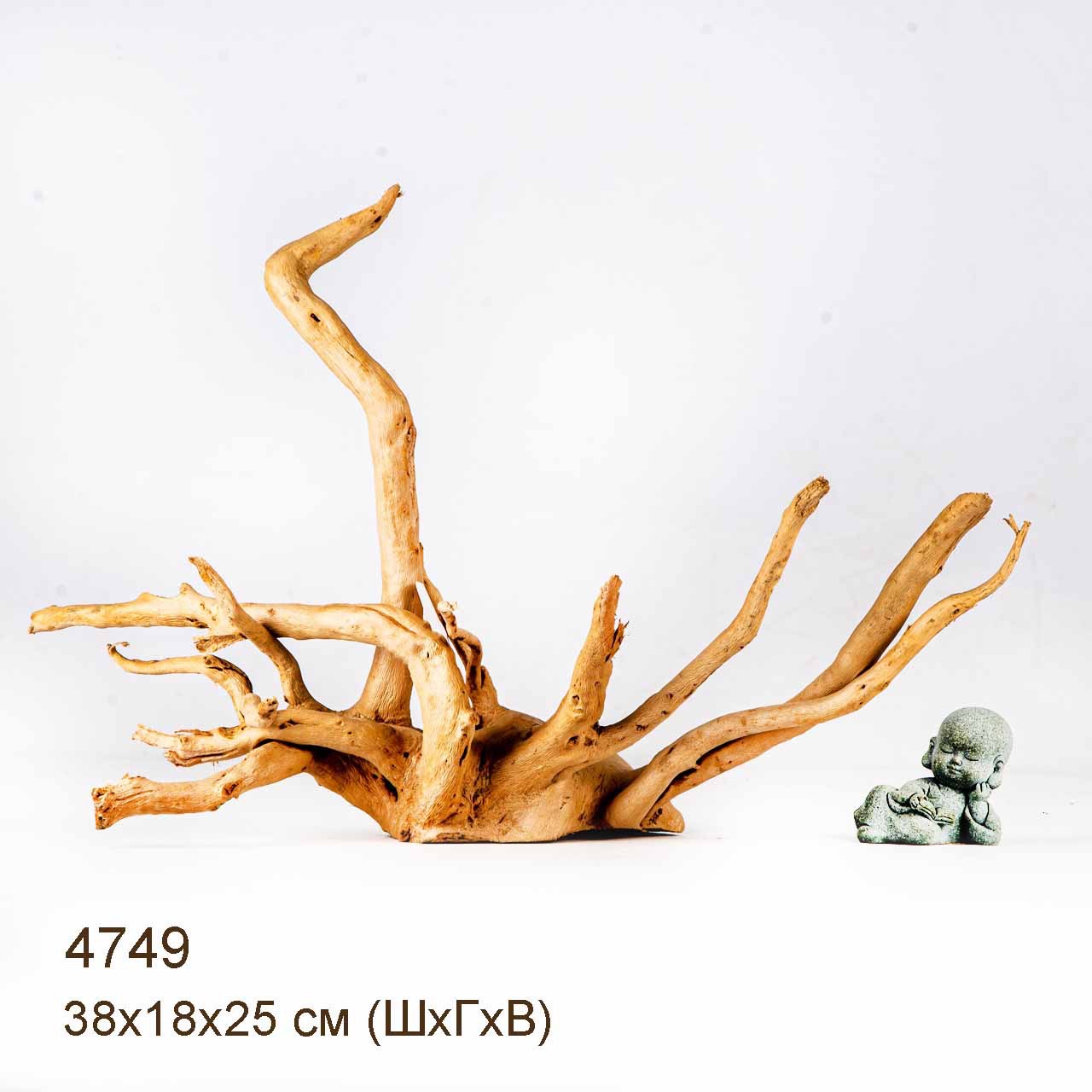 Коряга MASHA BLOOM Корень азалии M - 4749