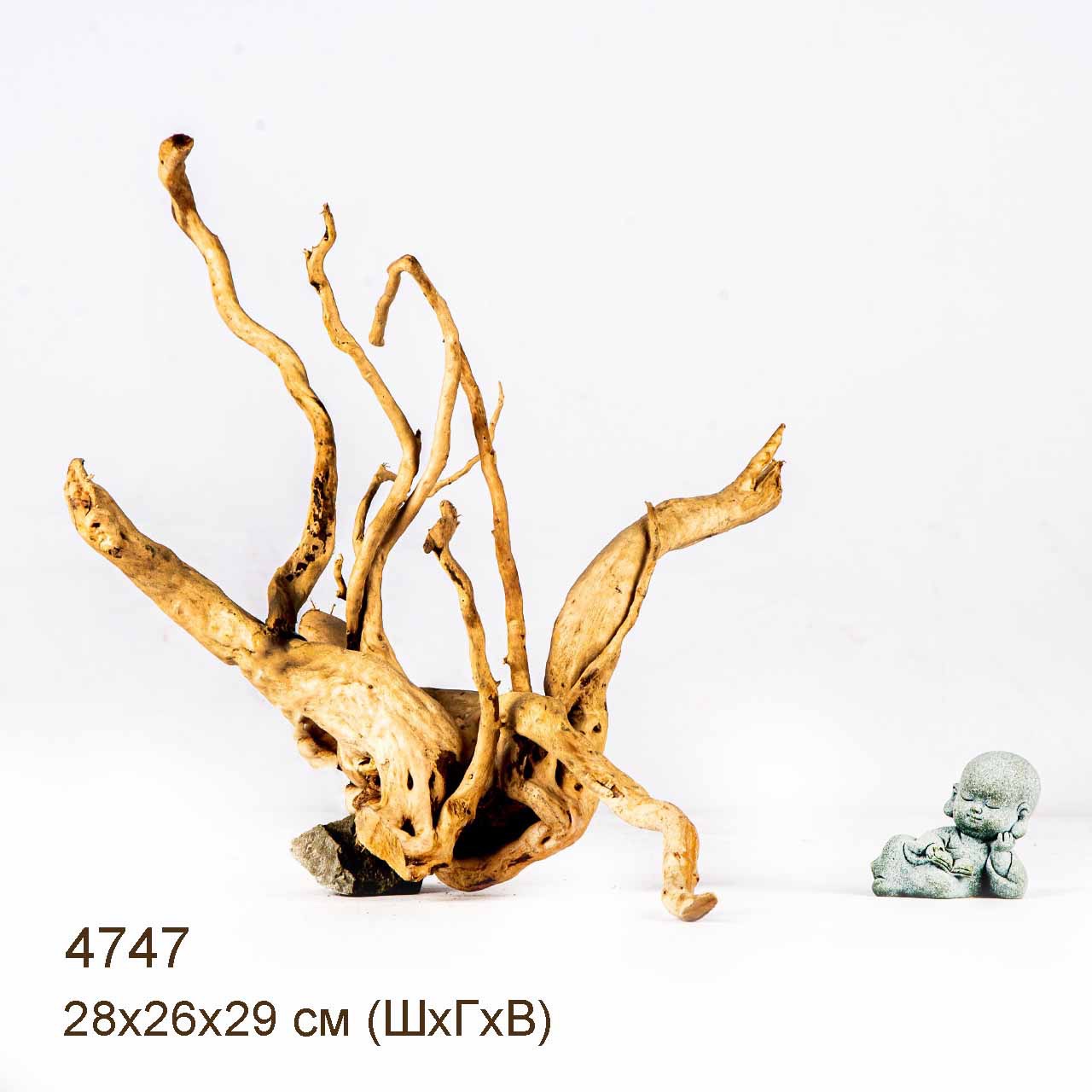 Коряга MASHA BLOOM Корень азалии M - 4747