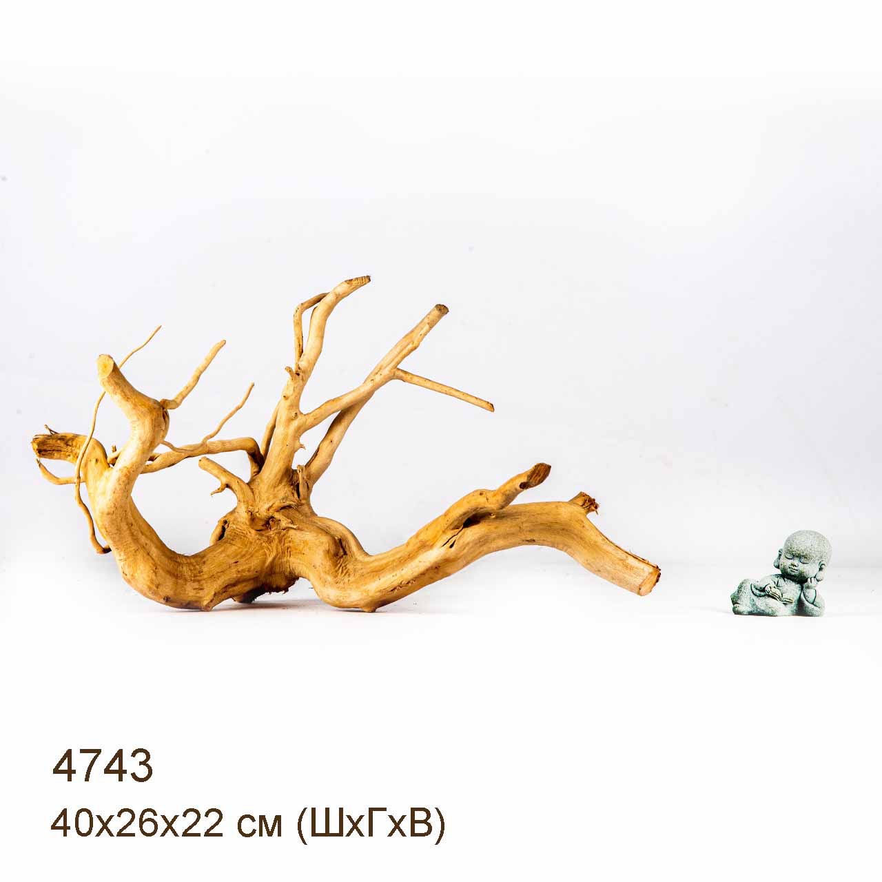 Коряга MASHA BLOOM Корень азалии M - 4743