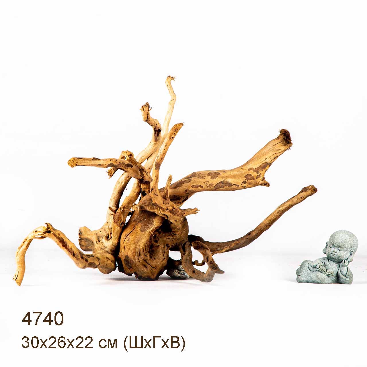 Коряга MASHA BLOOM Корень азалии M - 4740