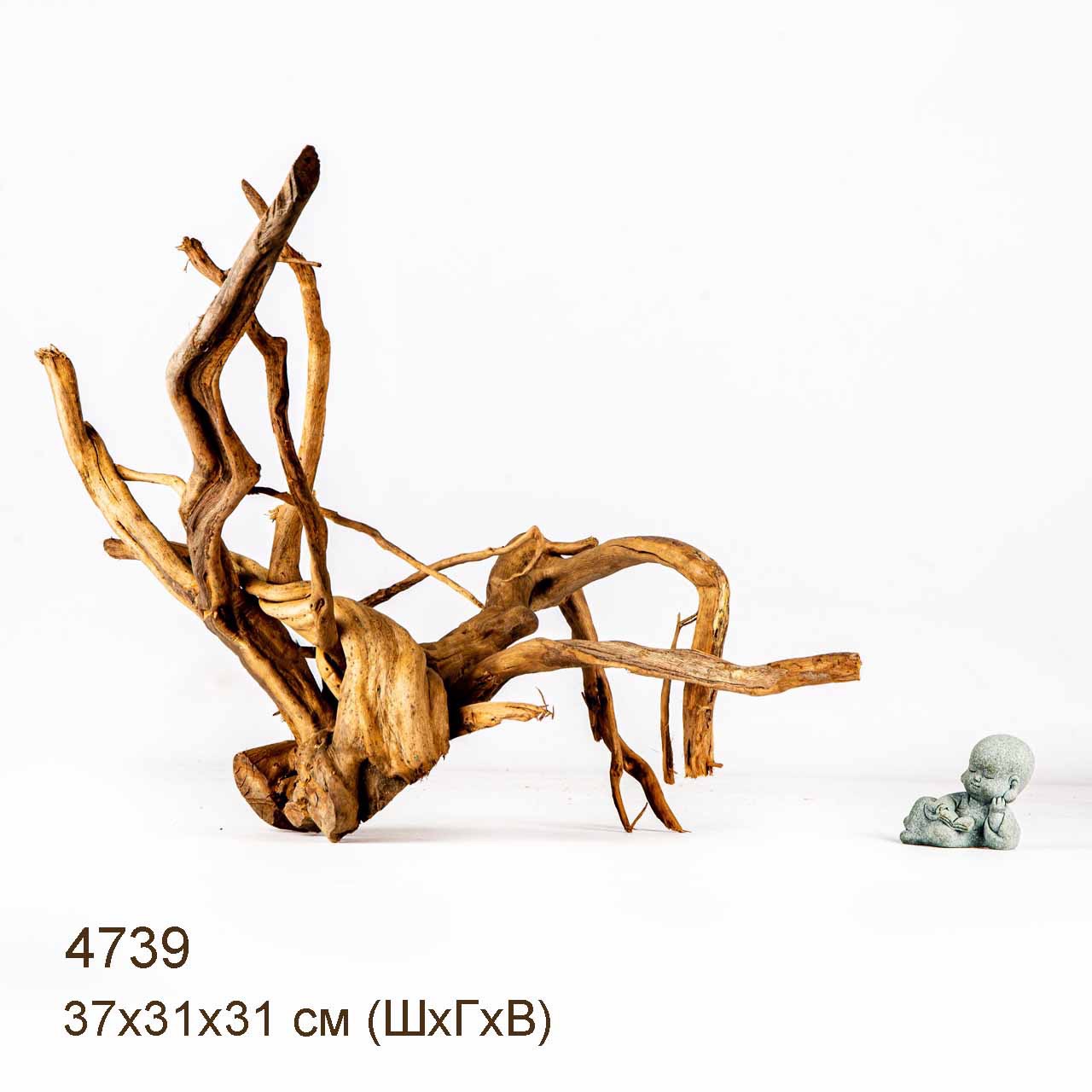 Коряга MASHA BLOOM Корень азалии M - 4739