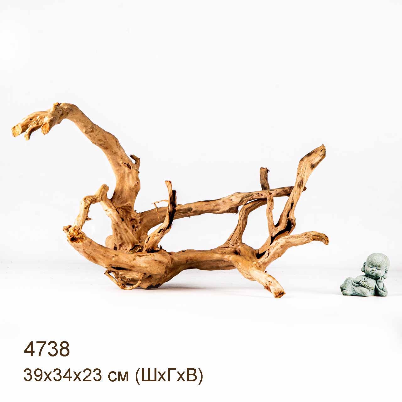 Коряга MASHA BLOOM Корень азалии M - 4738