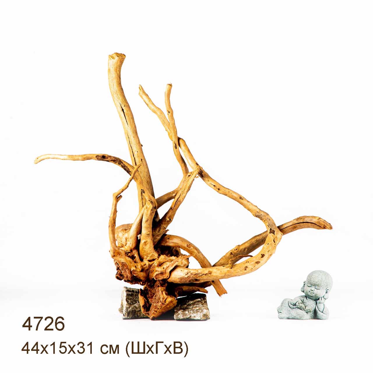 Коряга MASHA BLOOM Корень азалии M - 4726