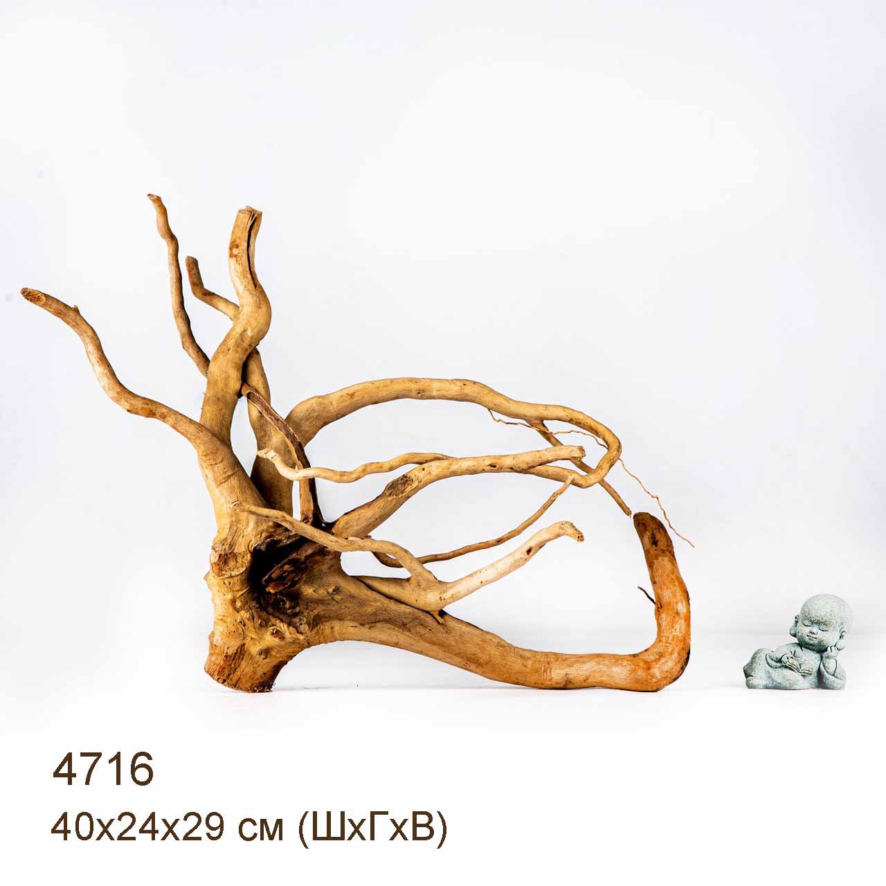 Коряга MASHA BLOOM Корень азалии M - 4716