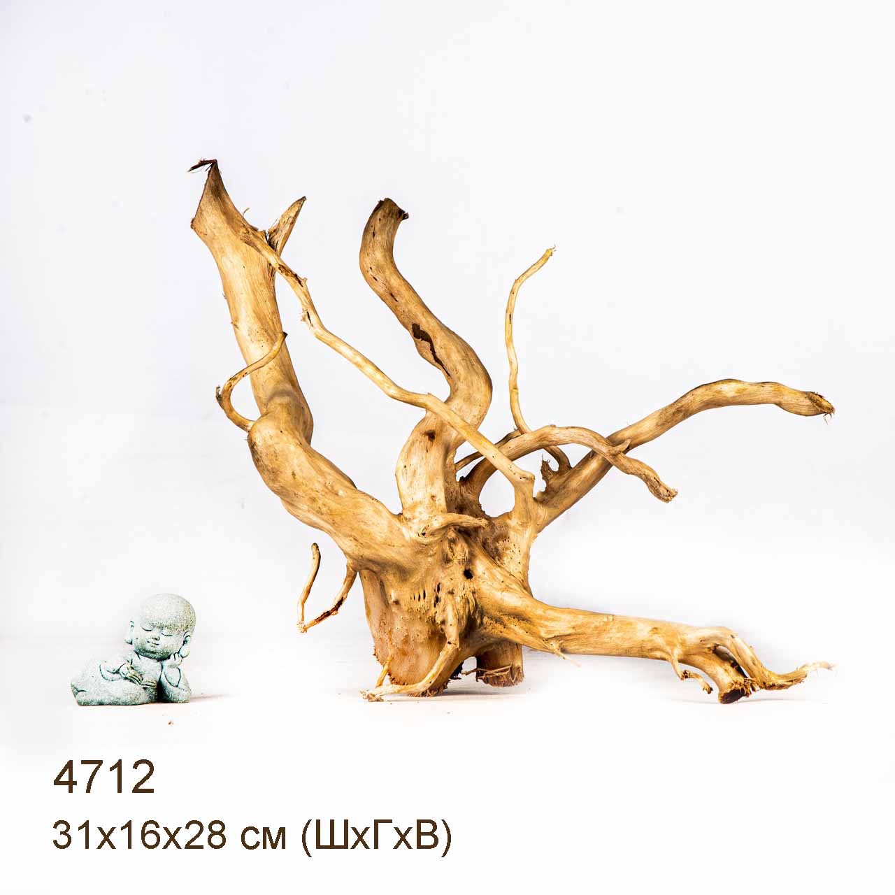 Коряга MASHA BLOOM Корень азалии M - 4712