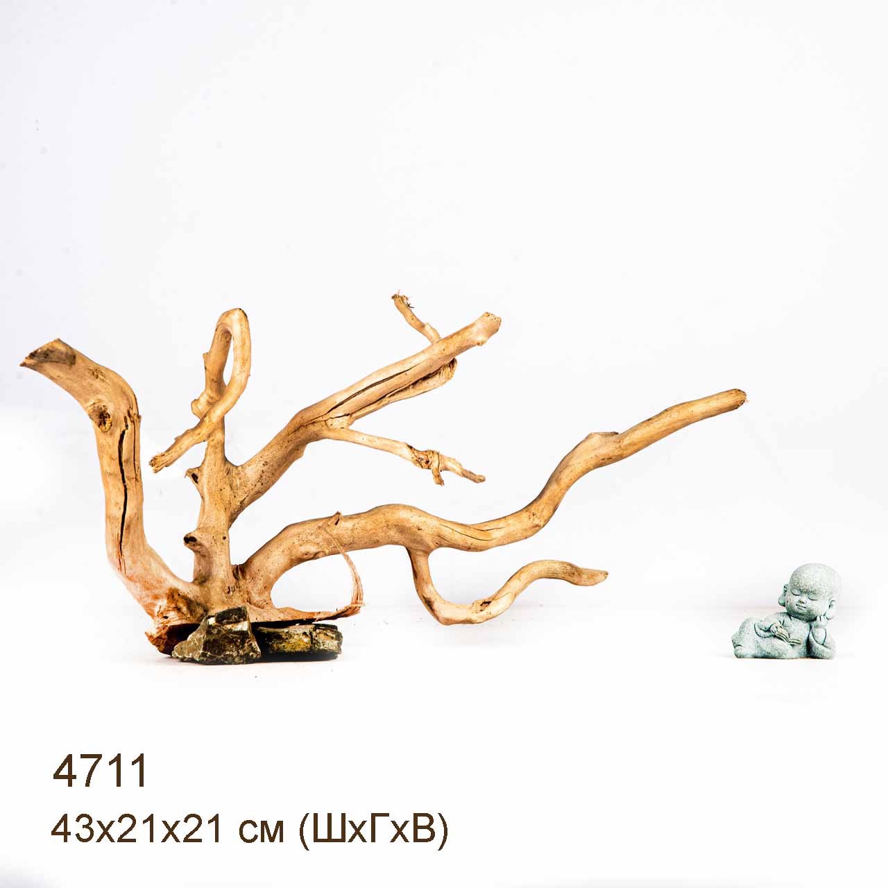 Коряга MASHA BLOOM Корень азалии M - 4711