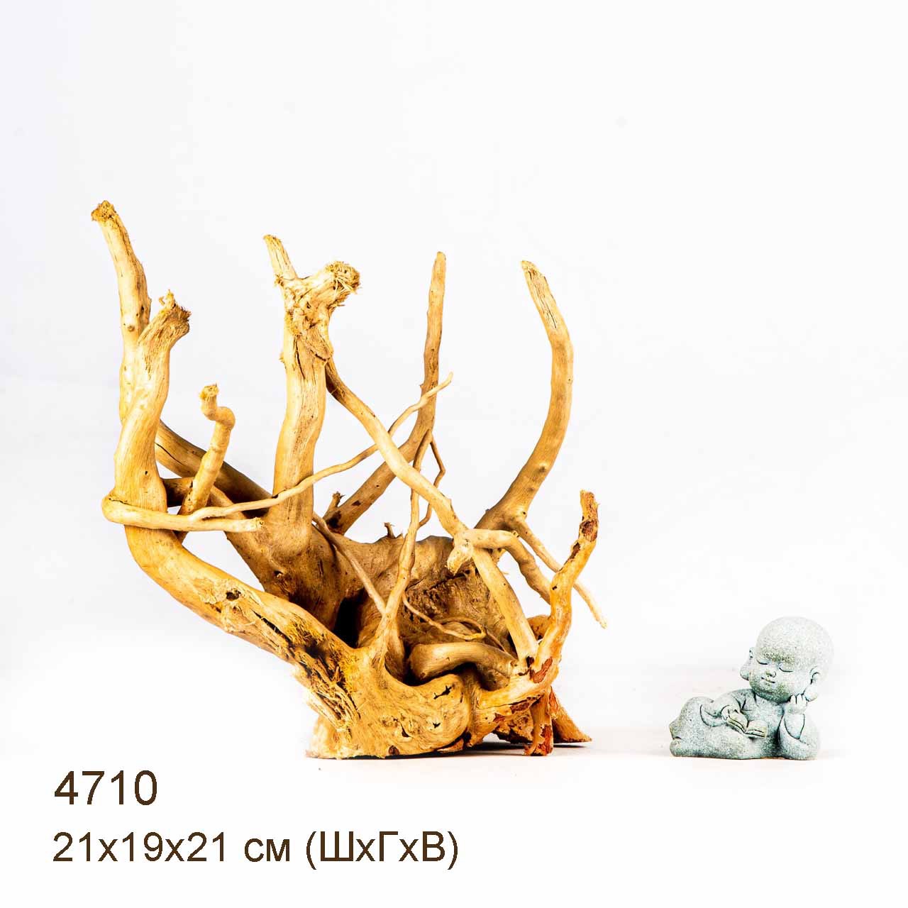 Коряга MASHA BLOOM Корень азалии M - 4710