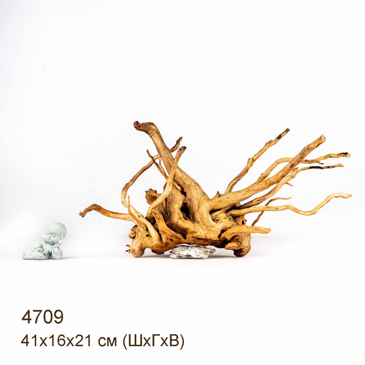 Коряга MASHA BLOOM Корень азалии M - 4709