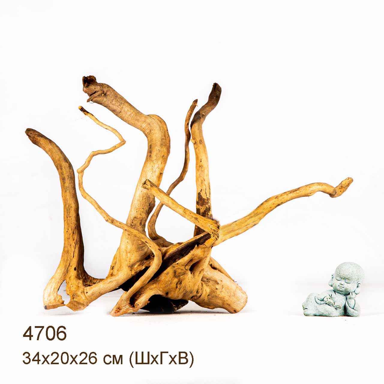 Коряга MASHA BLOOM Корень азалии M - 4706