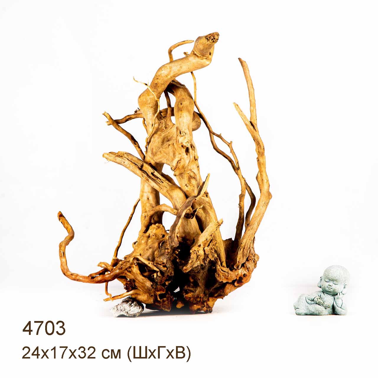 Коряга MASHA BLOOM Корень азалии M - 4703