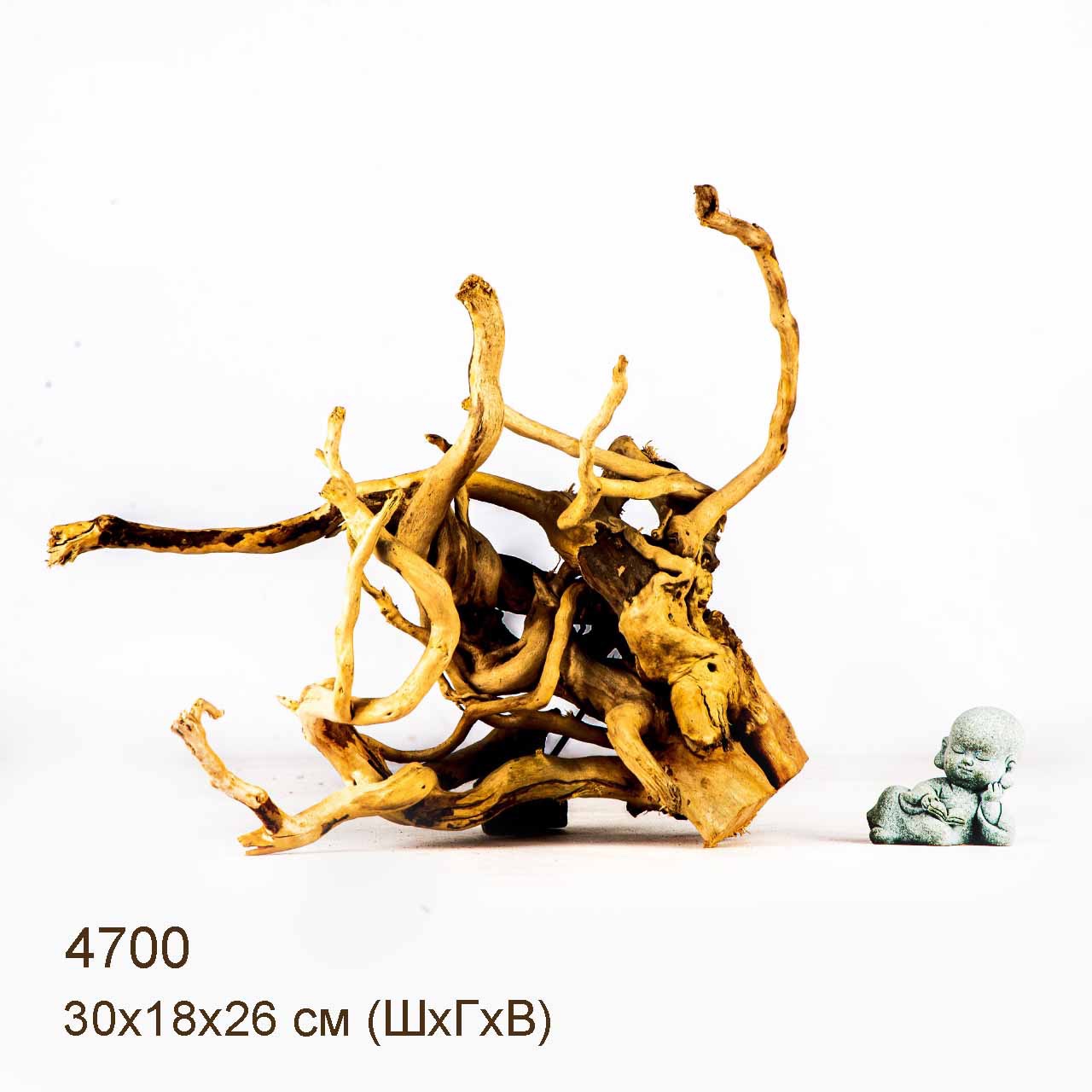 Коряга MASHA BLOOM Корень азалии M - 4700