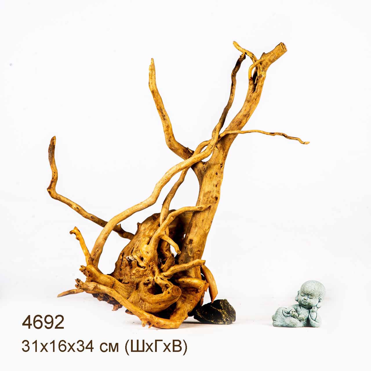 Коряга MASHA BLOOM Корень азалии M - 4692