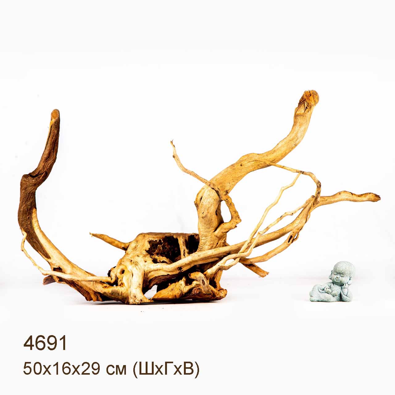 Коряга MASHA BLOOM Корень азалии M - 4691