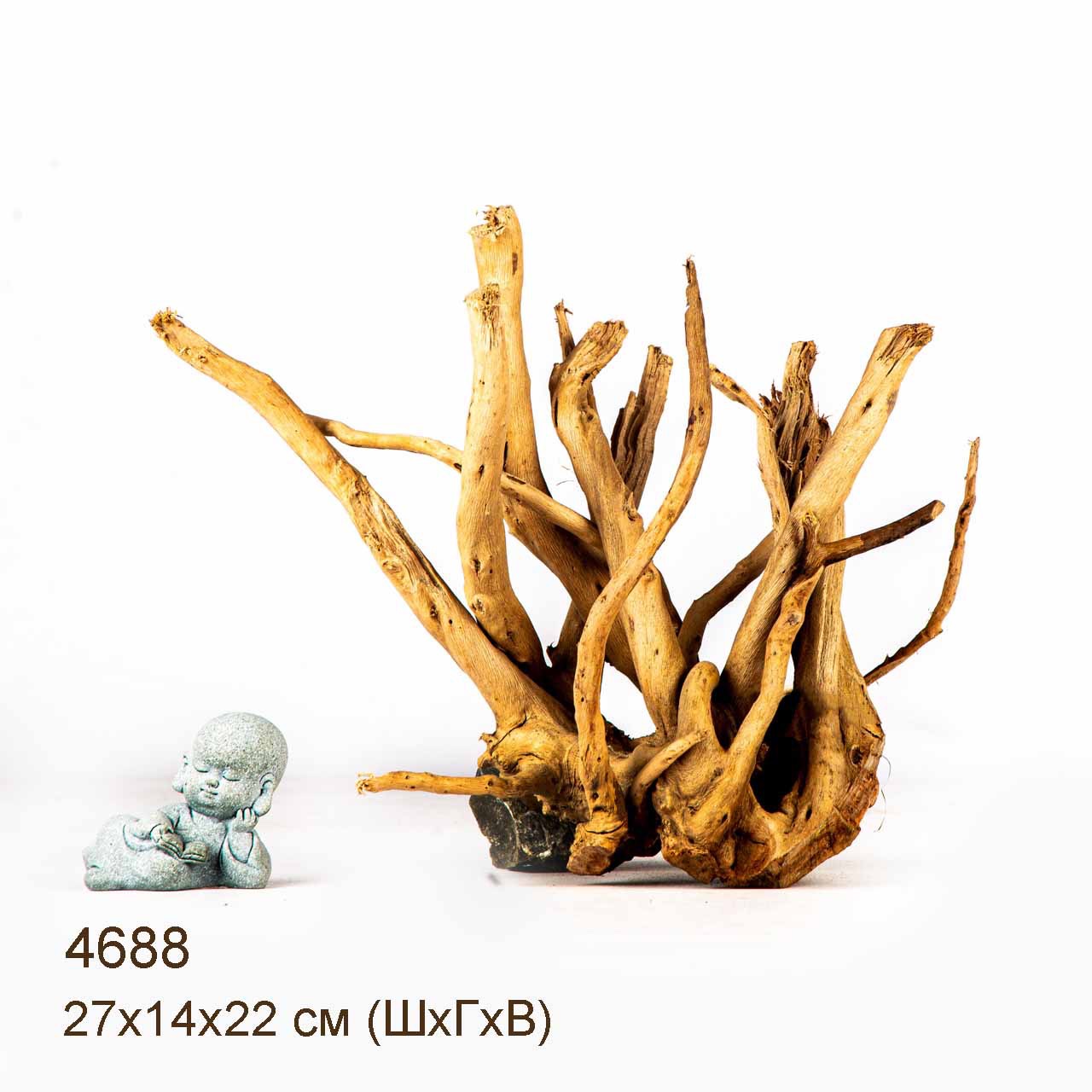 Коряга MASHA BLOOM Корень азалии M - 4688