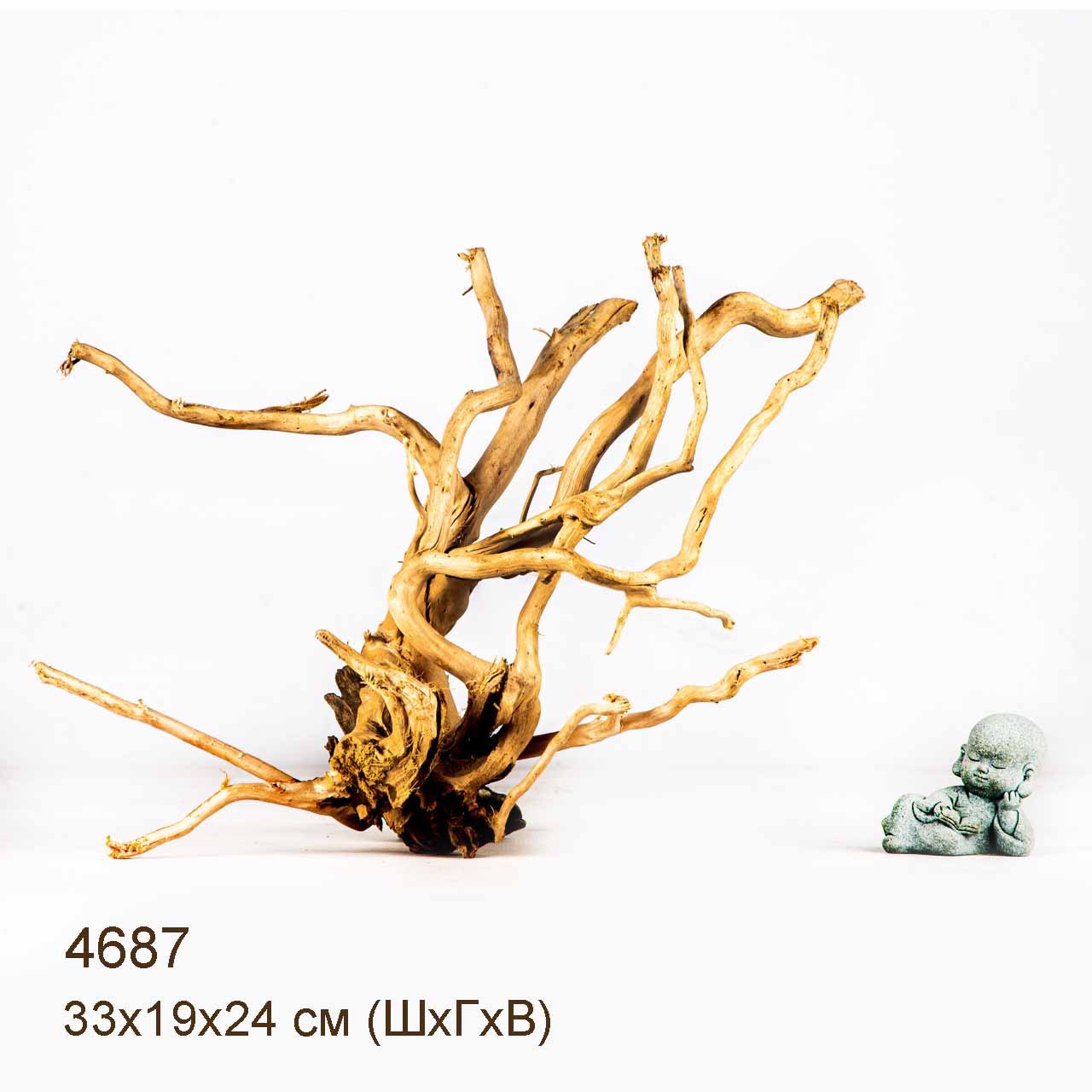 Коряга MASHA BLOOM Корень азалии M - 4687