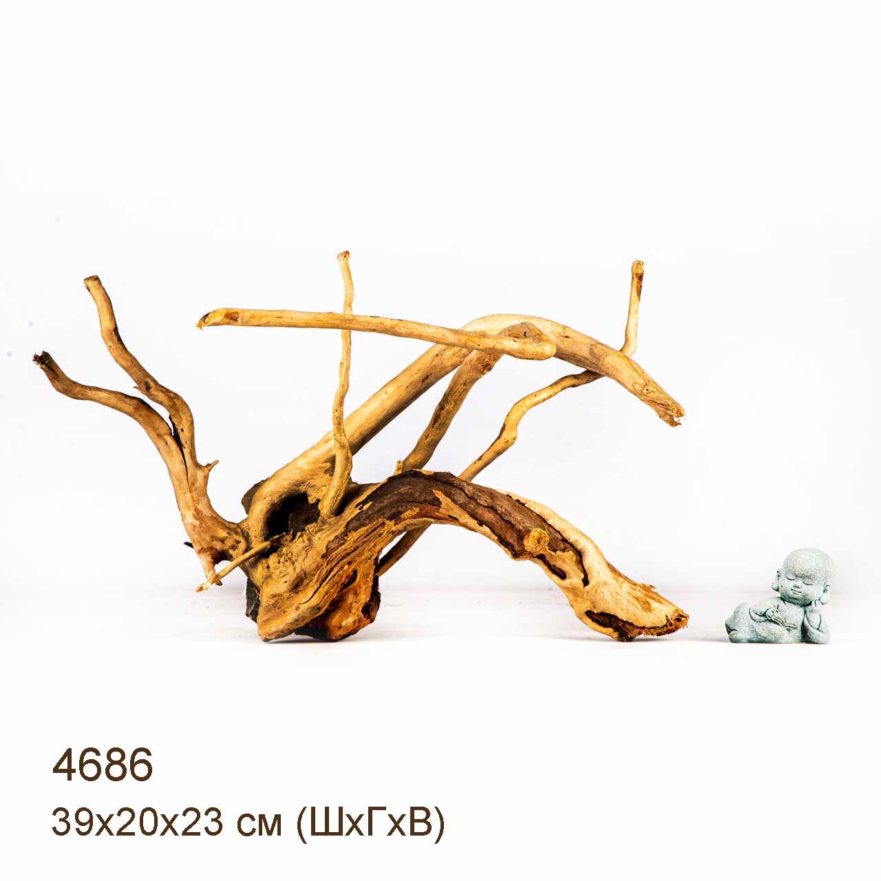 Коряга MASHA BLOOM Корень азалии M - 4686