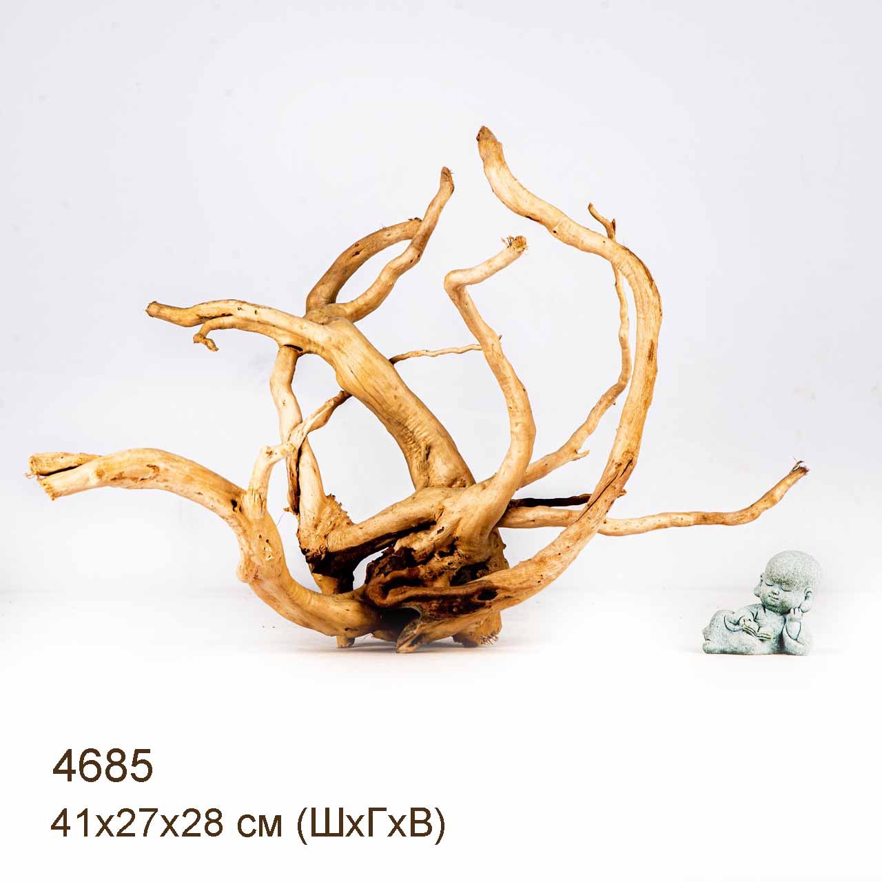 Коряга MASHA BLOOM Корень азалии M - 4685