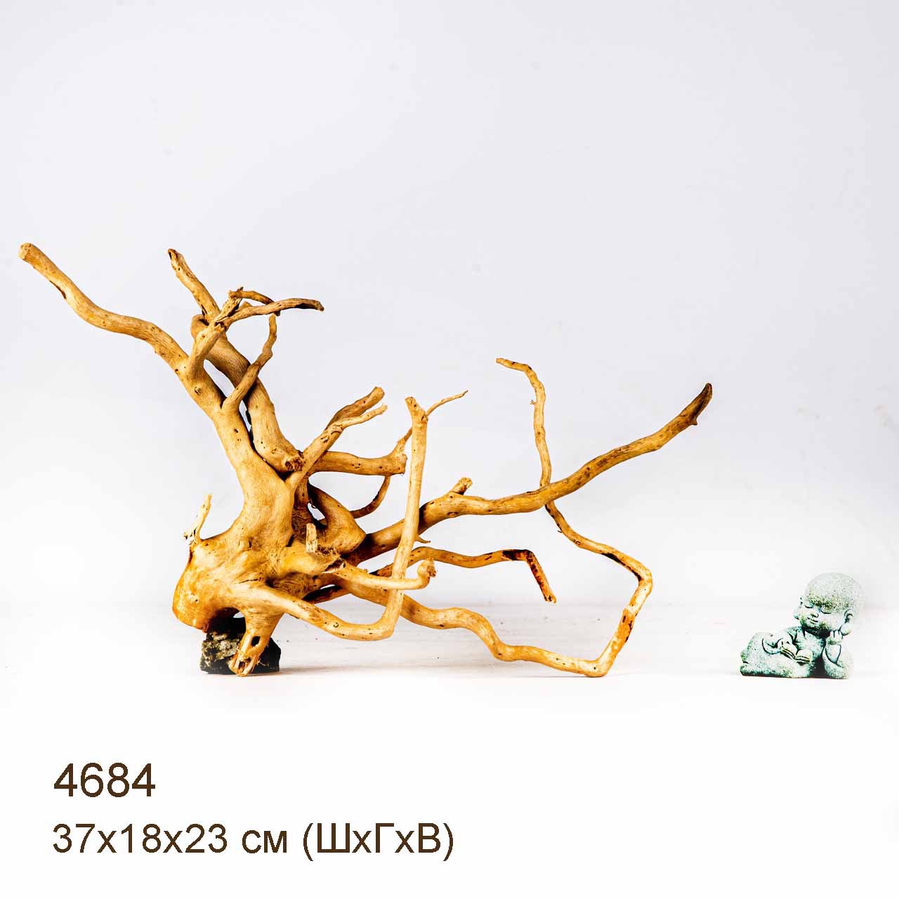 Коряга MASHA BLOOM Корень азалии M - 4684